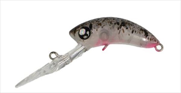 ���u���A�[ �g���E�g�v���O ���[�X�g�o�[�r�[F �n�����v