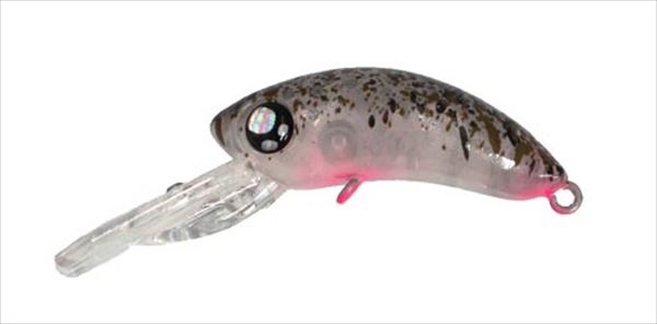 �y�l�R�|�X�Ώەi�z���u���A�[ �g���E�g�v���O ���[�X�g�o�[�r�[�n�[�tF �n�����v