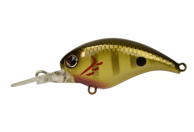 �y�l�R�|�X�Ώەi�zDSTYLE(�f�B�X�^�C��) �N���[���A�b�v(CRAWL-UP) �`���[�g�M���y���������z