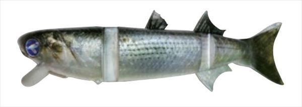 �a�k�t�d�a�k�t�d�i�u���[�u���[�j�@�a�n�q�`�b�n�m�P�T�O�i�{���R���j�@���O�W�@�R�m�V��