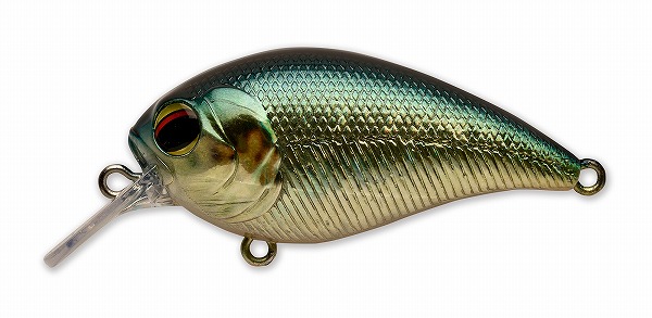 �y�C�t�H���[�h �����G�C�gSR #009 �A�����J�T���t�B�b�V��