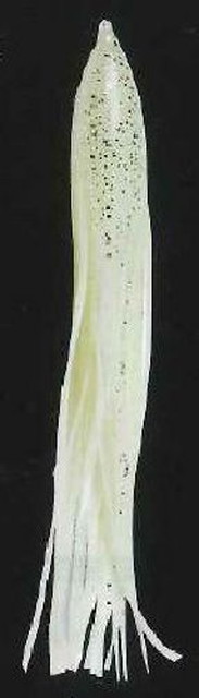 ���c����@�g�o�@���R�E�N���Q�S�D�O�@������F