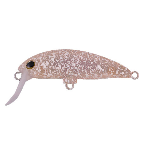 �y�l�R�|�X�Ώەi�z�W���b�J���i�e�B�����j�@�u���u���~�m�[�i�e�j�@��G���h�k�P�I���Ƃ΂�