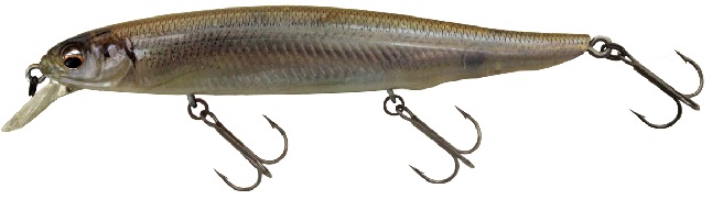 �C�}�J�c�@���b�v���C�U�[�P�R�O�@�Q�L�A�T�@�R�c���A���Y���@�R�c���A�����J�T�M