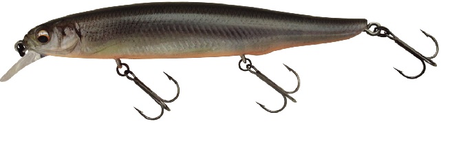 �C�}�J�c�@���b�v���C�U�[�P�R�O�@�Q�L�A�T�@�R�c���A���Y���@�R�c�O���[�����J�T