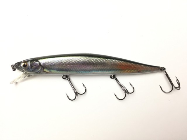 �C�}�J�c  �Q�L�A�T3 �R���v���[�^�[ �R�c���A���Y�� �V�P�T �R�c�q�u���[�f�B���O�t��