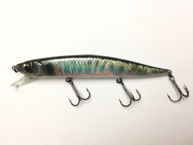 �C�}�J�c  �Q�L�A�T3 �R���v���[�^�[ �R�c���A���Y�� �V�P�V �R�c�q���[�U�[�I�C�J��