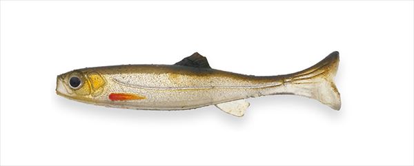 イマカツ ワーム ハドルスイマー 2インチ リアルカラー(エコ対応