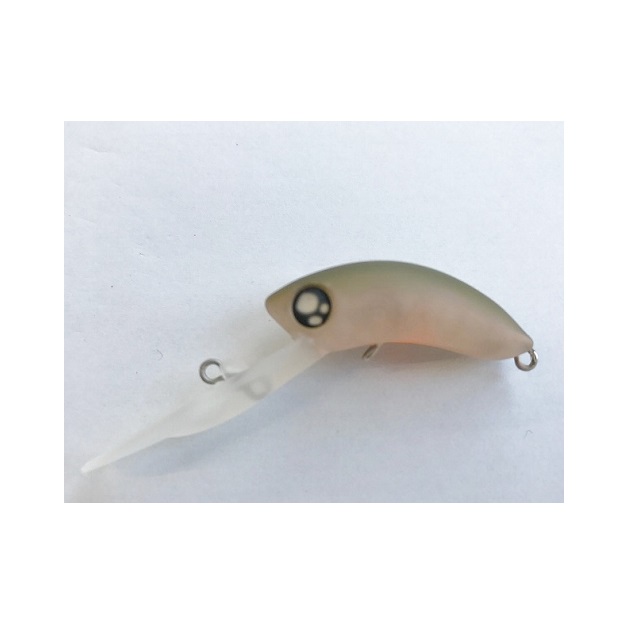 �y�l�R�|�X�Ώەi�z���u���A�[ ���[�X�g�o�[�r�[F 1091�J�t�F�V�����b�h�O���[