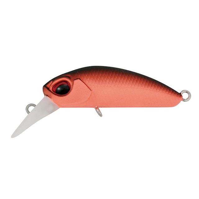 �y�l�R�|�X�Ώەi�z�f���I�i�c�t�n�j�@�N�[�K�r�@���n�L�����b�g�@�i�l�P�O�V�j