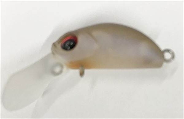 �y�l�R�|�X�Ώەi�z���@���P�C���@�N�[�K�i�m�r�@�P�O�X�P�J���[�@�J�t�F�V�����b�h�O���[