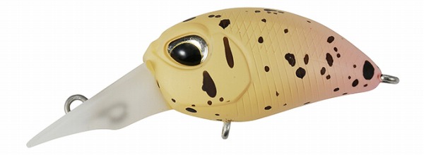 �y�l�R�|�X�Ώەi�z���@���P�C���@�w�C�Y�@�T���Z�b�g�x�[�W��