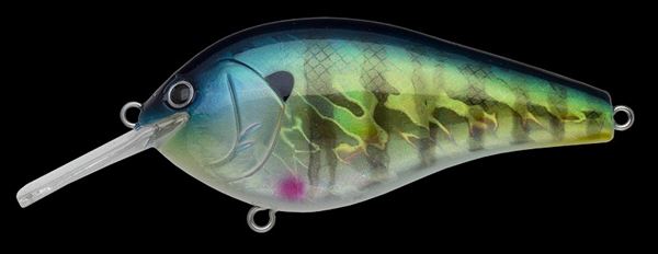 �m���[�Y�@�R���v���[�g�t���b�g68�@310H�@�z���O�������A���M��