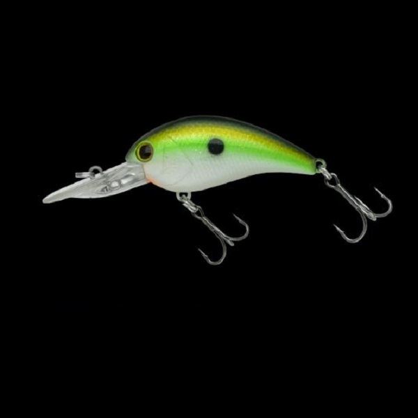 �m���[�Y �o�X���A�[ ���[�~���O�N�����N�V���b�g �t���T�C�Y 259 �`���[�g�Z�N�V�[�V���b�h