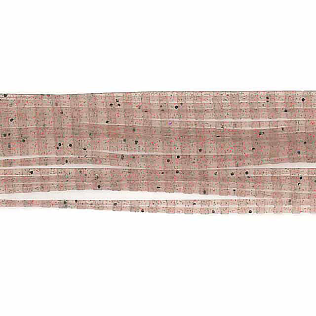 �e�B���R PDL�V���R���X�J�[�g���M�����[/�f�R�{�R RD-403 ���G�r