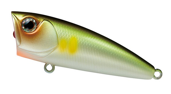 �_�C���@�X�e�B�[�Y�@�|�b�p�[�@�T�O�e�@�A��