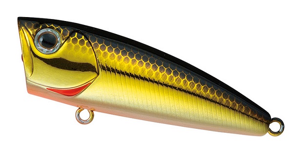 �_�C�� �X�e�B�[�Y �|�b�p�[ 50F �N���L��