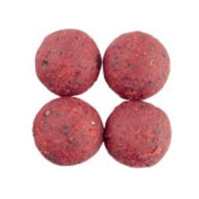 �y�����z�_�C���@�b�a�@�r�s�q�`�v�a�d�q�q�x�Q�O�[�T�O�O