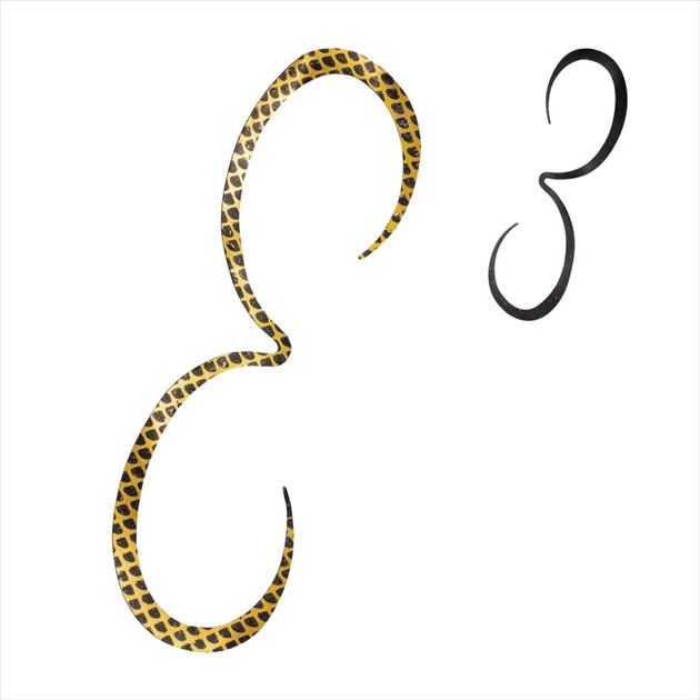 �V�}�m �^�C���o �⃉�o ED-X01U ���� �X�g�����O�J�[���[ 005 �u���b�N�S�[���h�y���������z