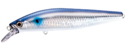 �V�}�m �G�N�X�Z���X �T�C�����g�A�T�V���X�X�r �`�q-�b �w�l-�Q�X�X�m �L���E�����{�� �O�P�P