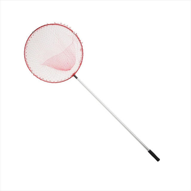 �v���}�����@�o�f�@�C��ޖx�ʖԂc�w�Z�b�g�@�Q�O�O