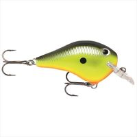 ���p���@DT�t�@�b�g 6cm �`���[�g�����[�X�V���b�h