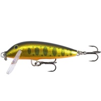 p bcT^i-fxl JEg_E T T S[h}