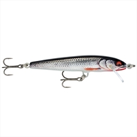 ���p�� �g���E�g�v���O �t���[�^�[�G���[�g 8.5cm �M���f�B�b�h���C�u���[�`
