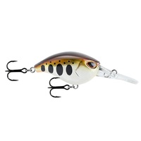 STORM(�X�g�[���j �ܖ� �N�����N �R�D�W���� GC38F-TR �g���E�g