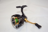 yÕiz _C dwbdkdq ksQOOOc-wg