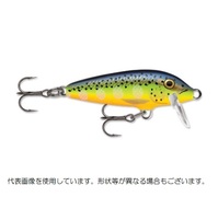 ���p���@�I���W�i���t���[�^�[ 5cm �z�b�g�X�e�B�[��