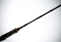 yzI[VtB[h ^Co@nesb|UXkr|WO