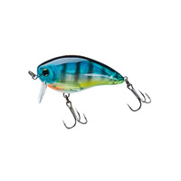 fG@Rcr@NN@rrqiej@TO@gaf