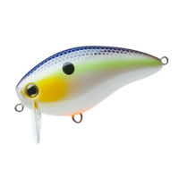 fG@Rcr@NN@rrqiej@TO@rrg