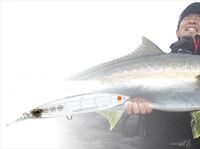 �f���G�� �I�t�V���A�v���O �n�[�h�R�A �o���b�g�t�@�X�g (S) 140mm 10 TM �N���A�[