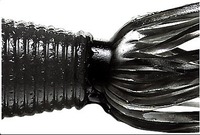 X~X@Q[[@xr[t@bgCJ OOQ@X[Ni\bhj