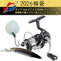 y\iz2026ދ̃LXeBO _C 24rAX LT2000S-P ǗނgEgpXsjO[܁y12{\ isz