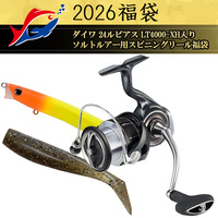 y\iz2026ދ̃LXeBO _C 24rAX LT4000-XH\gA[pXsjO[܁y12{\ isz