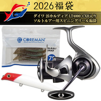 y\iz2026ދ̃LXeBO _C 25JfBA LT4000-CXH\gA[pXsjO[܁y12{\ isz