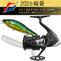 y\iz2026ދ̃LXeBO V}m 23GNXZX XR C3000MHG\gA[pXsjO[܁y12{\ isz