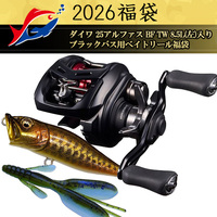 y\iz2026ދ̃LXeBO _C 25At@X BF TW 8.5L()ubNoXpxCg[܁y12{\ isz