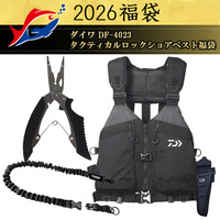 y\iz2026ދ̃LXeBO _C DF-4023 ^NeBJbNVAxXg܁y12{\ isz