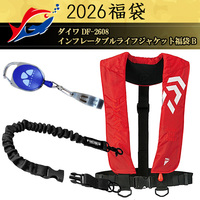 y\iz2026ދ̃LXeBO _C DF-2608 Ct[^uCtWPbgBy12{\ isz