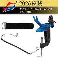 y\iz2026ދ̃LXeBO _C Cgz_[90CH u[܁y12{\ isz