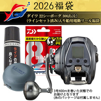 2026ދ̃LXeBO _C 22V[{[O 300JL()(CZbgς)Dpd[