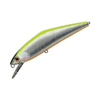 X~X gEgvO D-R^Ng85 20.`[g