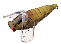 X~X gEgvO rZ S[XgI[u 23yz