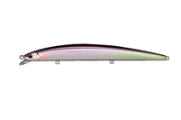 �X�~�X�@�n���J�@�P�S�T�e�@�P�S�I�I�i�S