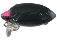 �X�~�X �g���E�g�v���O �J���k�V �z�^�� 27