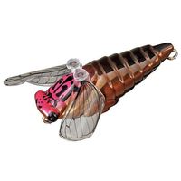 X~X gEgvO  _CrZ 33.sNwbh